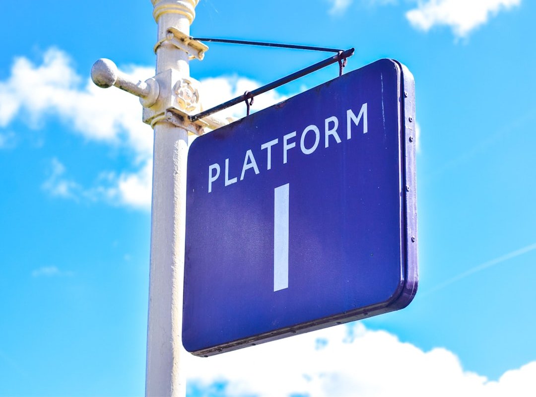 What Sets These Platforms Apart