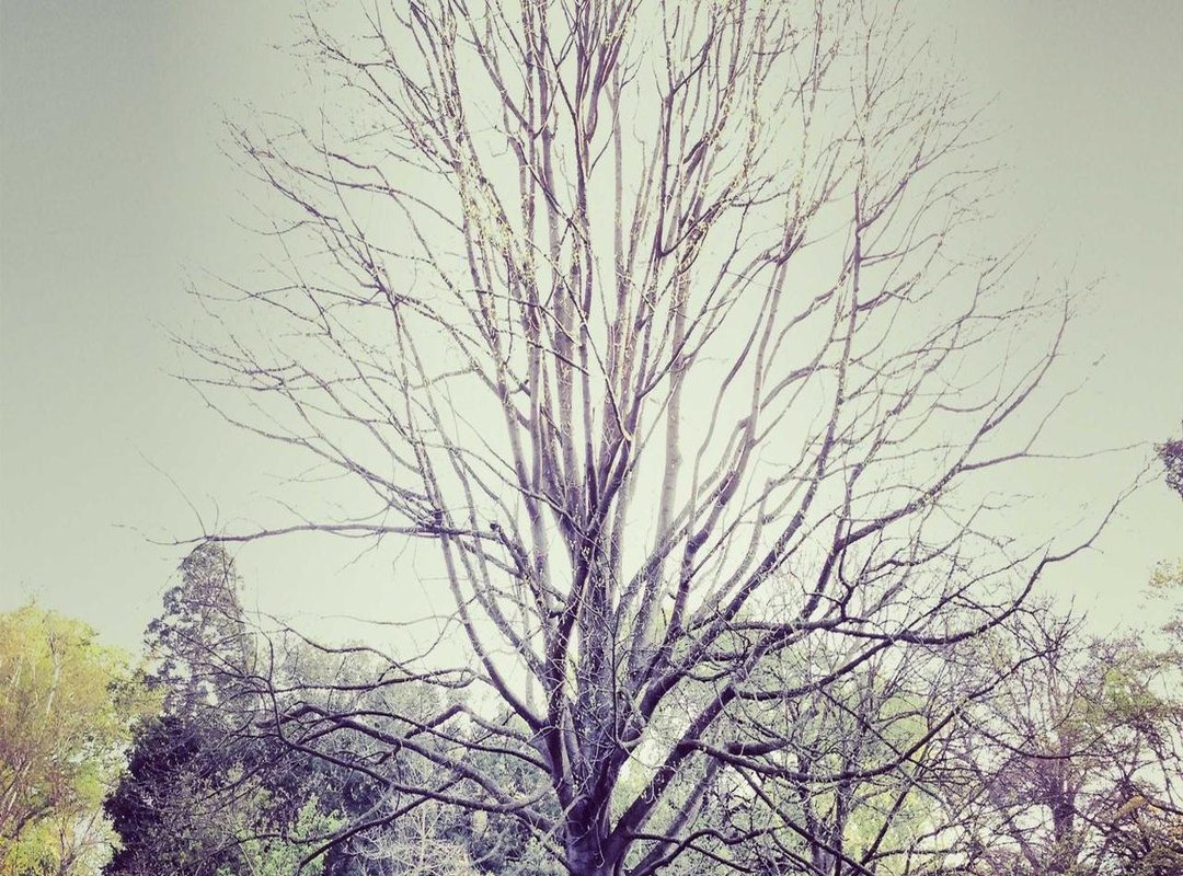 Aportbet vs. The Competition: A Head-to-Head Analysis