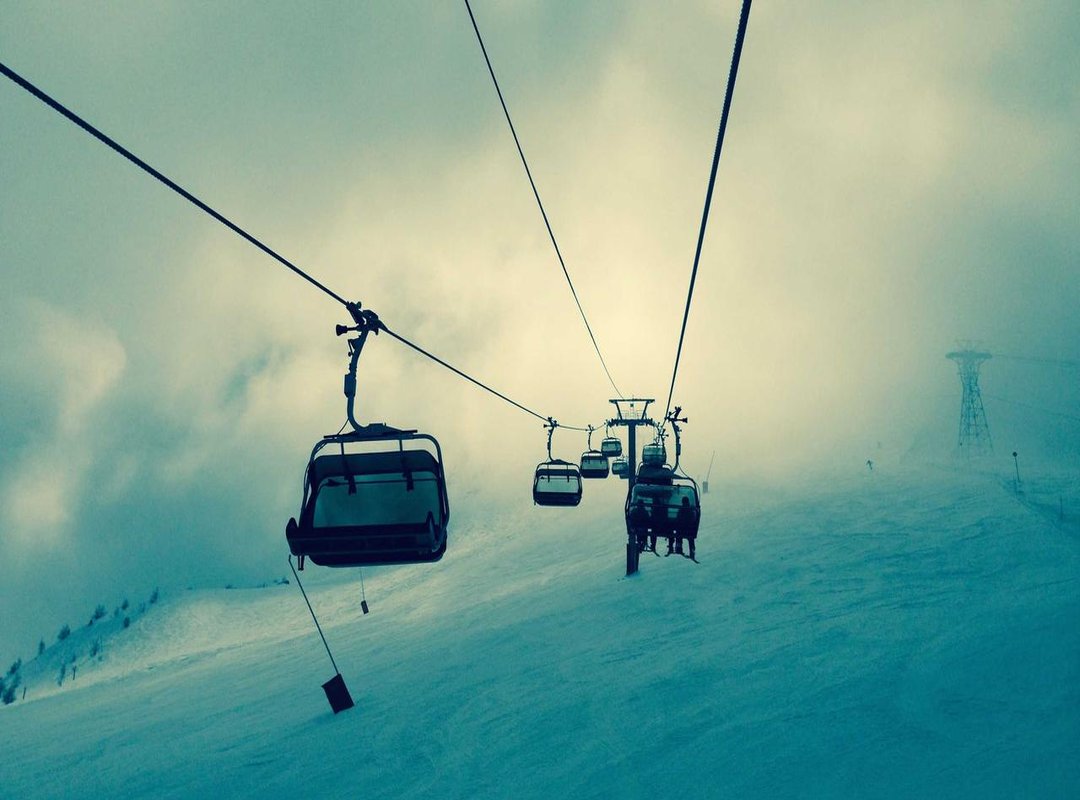 Simple Objects, Big Mood: Everyday Items to Paint