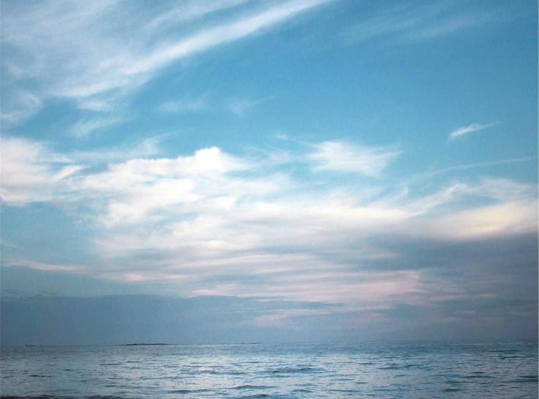 Love and Survival: The Story of Pamela Smith