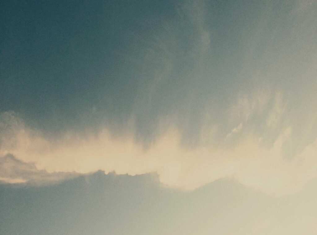 fnf:9jcokqug9pu= bob