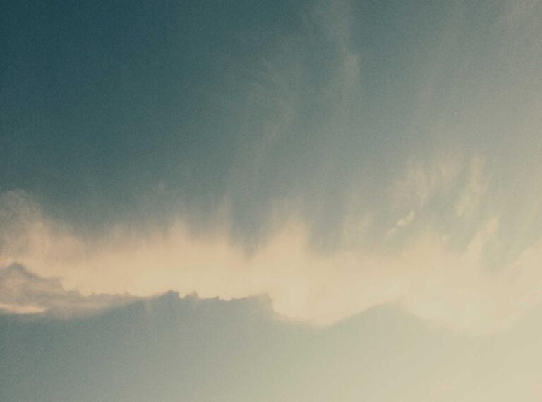 fnf:9jcokqug9pu= bob