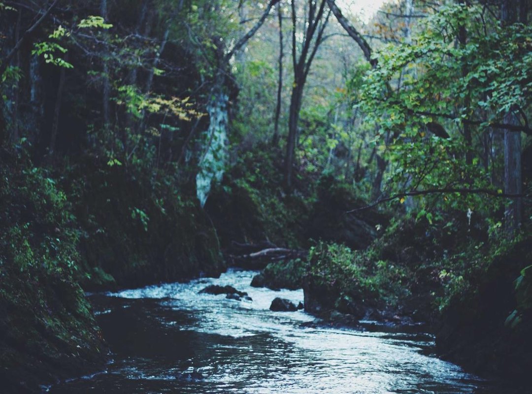 How to Print Perfect Kuromi Images Every Time: A Step-by-Step Guide