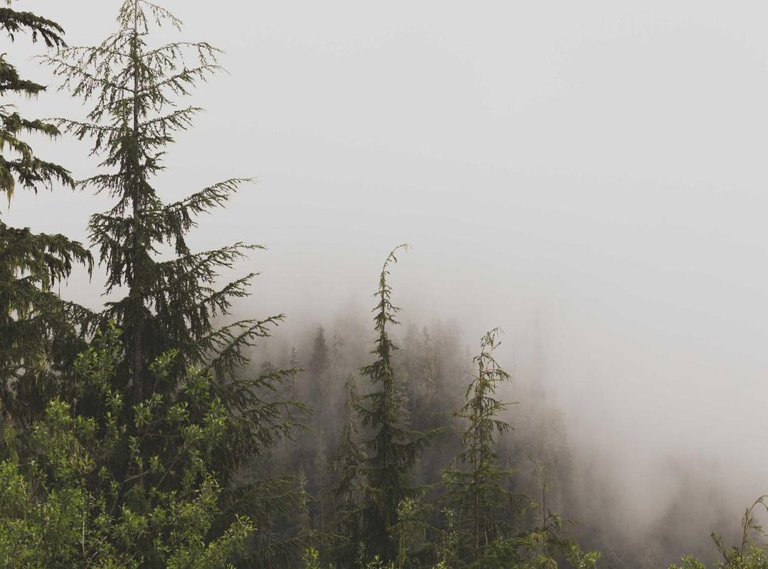 Frequently Asked Questions (FAQs)